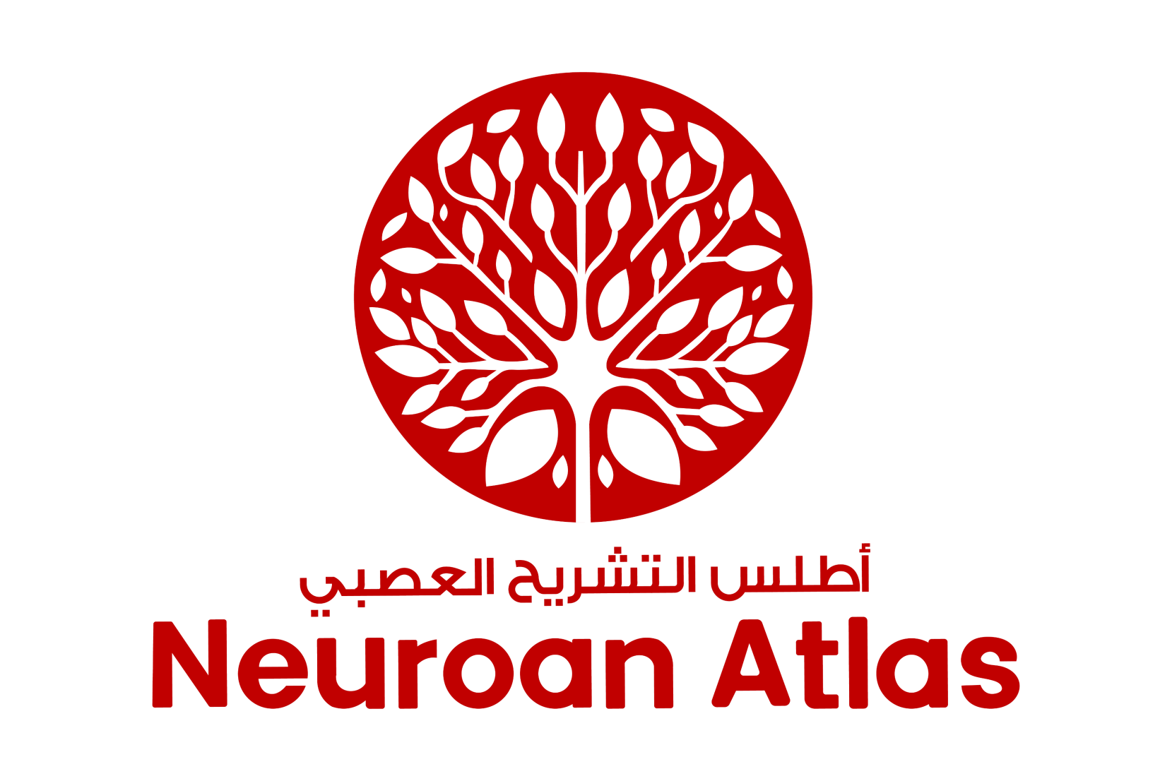 Neuroan Atlas Logo